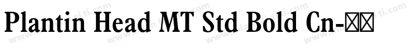 Plantin Head MT Std Bold Cn字体转换